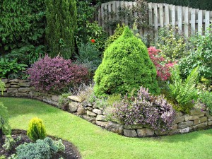 Professional gardening in London