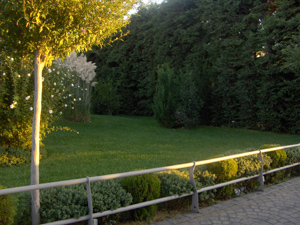 Gardening Services